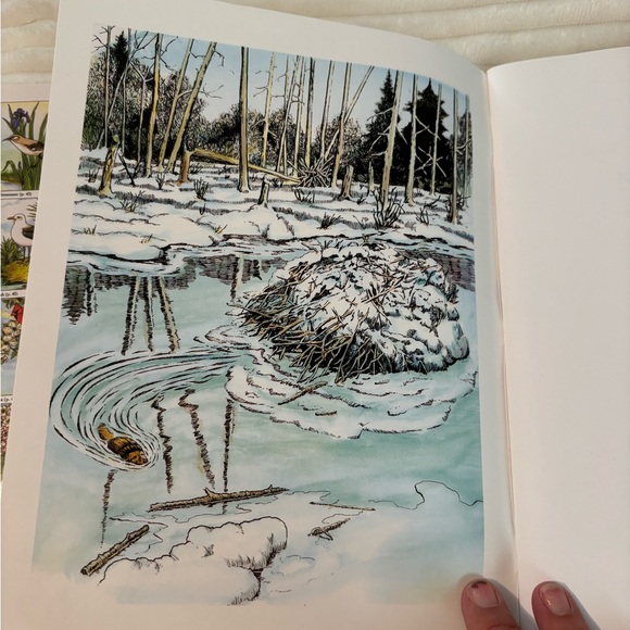 Set of 2 Vintage Coloring Books from Dover COLORING Book 1990 1993 Unused - Picture 7 of 14